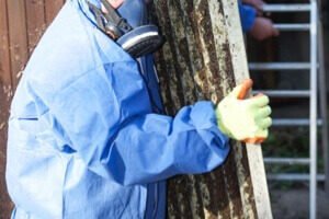 Person in blue protective suit removing a sheet of asbestos