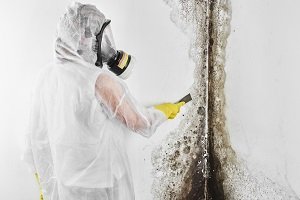 Person in protective suit cleaning mold on a wall