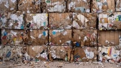 Cardboard at recycling facility