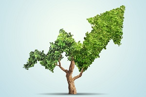 Tree grows up in arrow shape over blue background. Concept business image