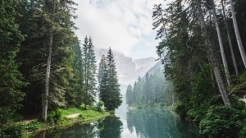 river trees and mountains