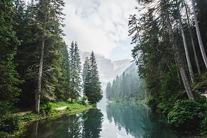 river trees and mountains