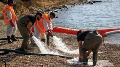 Four people cleaning up pollution on shore