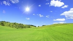 Green field with sunny blue sky