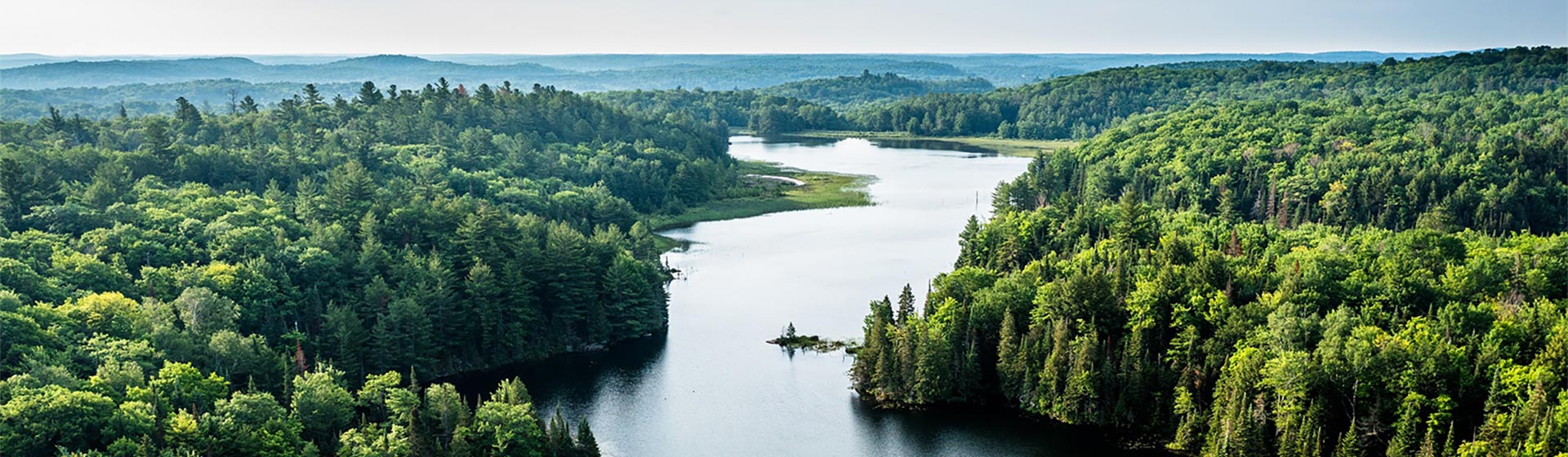 Winding river lined with evergreens and trees