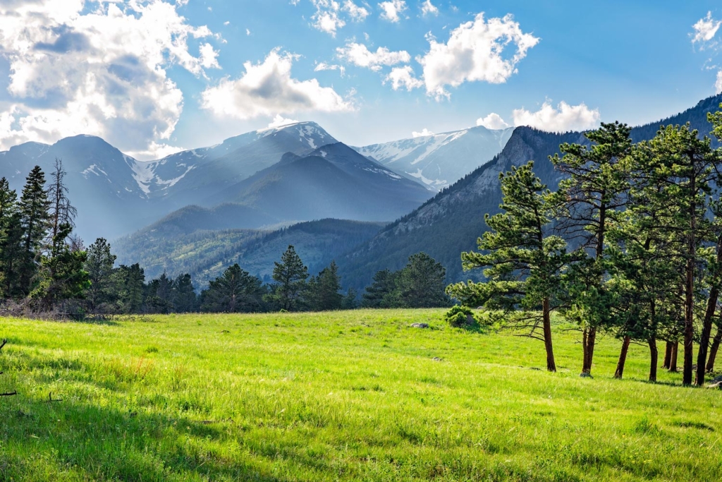 Moutains with green meadow and evergreen trees in foreground