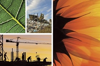 multi-image leaf sunflower, construction, and landfill