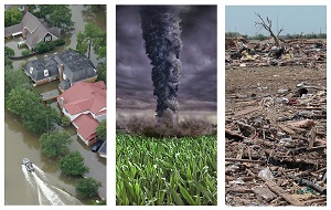 Split image of natural disasters; flood, tornado, and hurricane