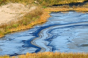 Oil spill in water, reaching the shore