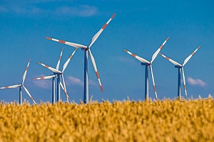 Wind turbines blue sky with yellow field